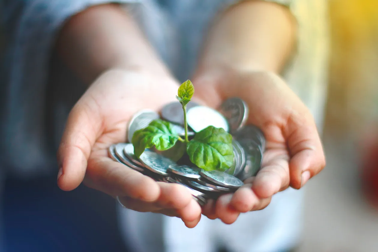 Person's cupped hands holding a mound of silver coins with a small green plant sprout in the middle